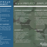 4-H Project Overview